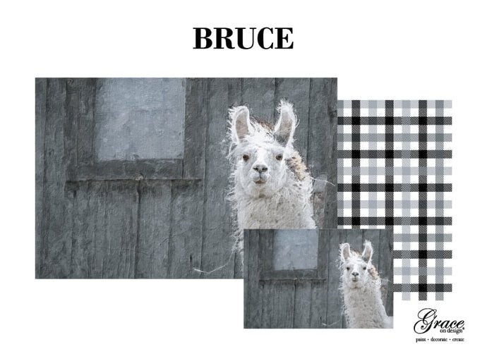 Bruce Decoupage Pack