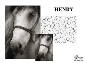 Henry Decoupage Pack